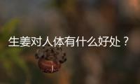 生姜对人体有什么好处？