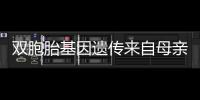 双胞胎基因遗传来自母亲还是父亲