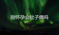 刚怀孕会肚子痛吗