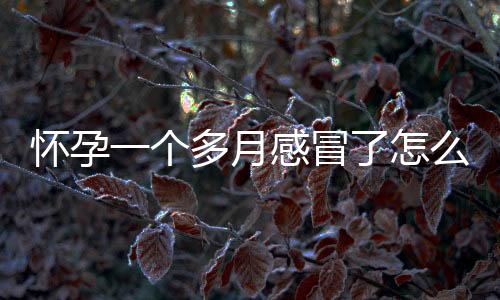 怀孕一个多月感冒了怎么办?