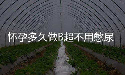 怀孕多久做B超不用憋尿呢