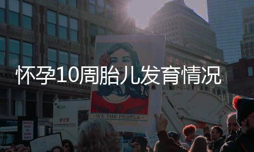 怀孕10周胎儿发育情况，怀孕10周的注意事项