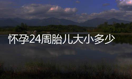 怀孕24周胎儿大小多少