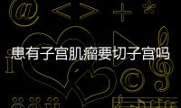 患有子宫肌瘤要切子宫吗