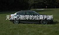 无胎心胎芽的检查判断