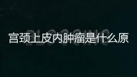 宫颈上皮内肿瘤是什么原因引起的