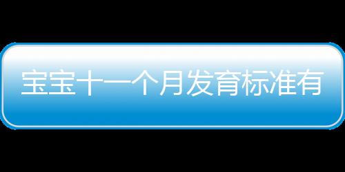 宝宝十一个月发育标准有哪些
