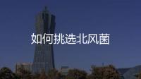 如何挑选北风菌