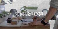 如何挑选鱼翅