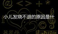 小儿发烧不退的原因是什么