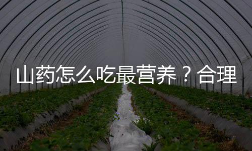 山药怎么吃最营养?合理搭配营养翻倍