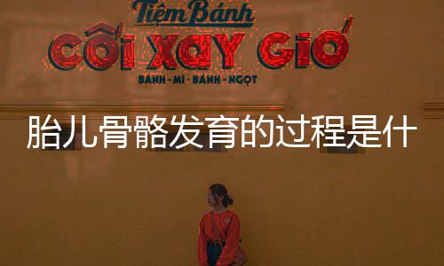 胎儿骨骼发育的过程是什么?