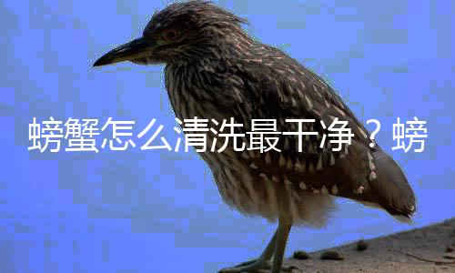 螃蟹怎么清洗最干净?螃蟹的清洗方法