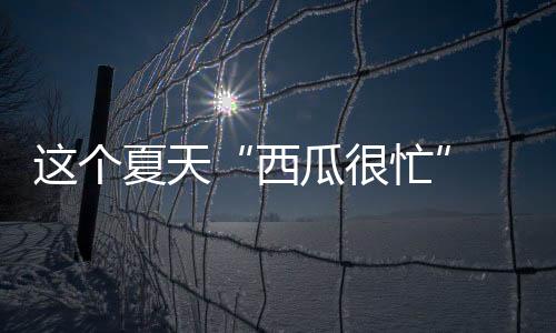 这个夏天“西瓜很忙” 西瓜的功效与作用