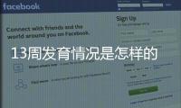 13周发育情况是怎样的