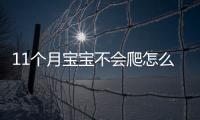 11个月宝宝不会爬怎么办